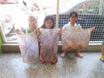 dscn1733.jpg