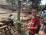 dscn2386.jpg
