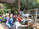 dscn2388.jpg