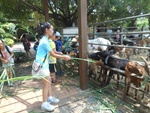dscn2398.jpg