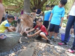 dscn2442.jpg