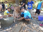 dscn2443.jpg