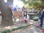 dscn2455.jpg