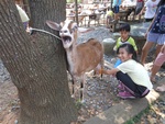 dscn2463.jpg